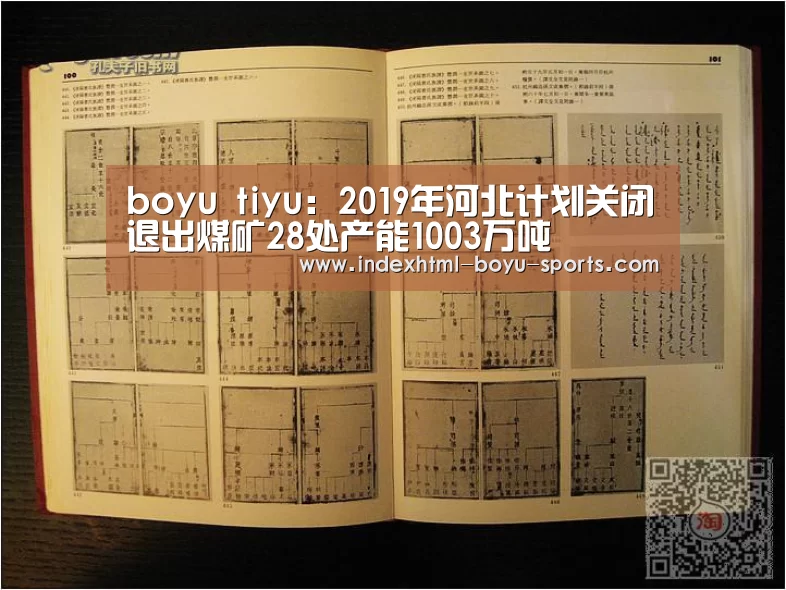  boyu tiyu